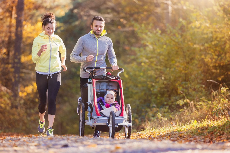 About Ecofit Management